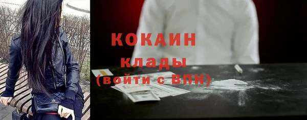 стафф Козловка