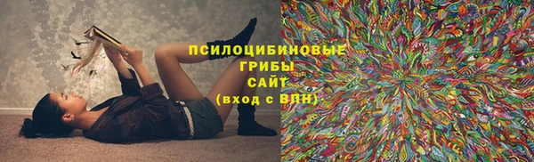 mdpv Козельск