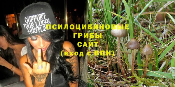 стафф Козловка