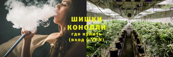 стафф Козловка