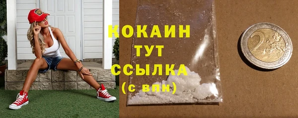 стафф Козловка
