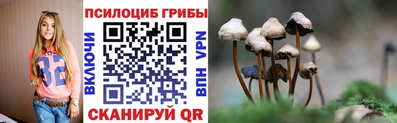 Галлюциногенные грибы Psilocybe  закладки  мега ТОР  даркнет формула  Солнечногорск 