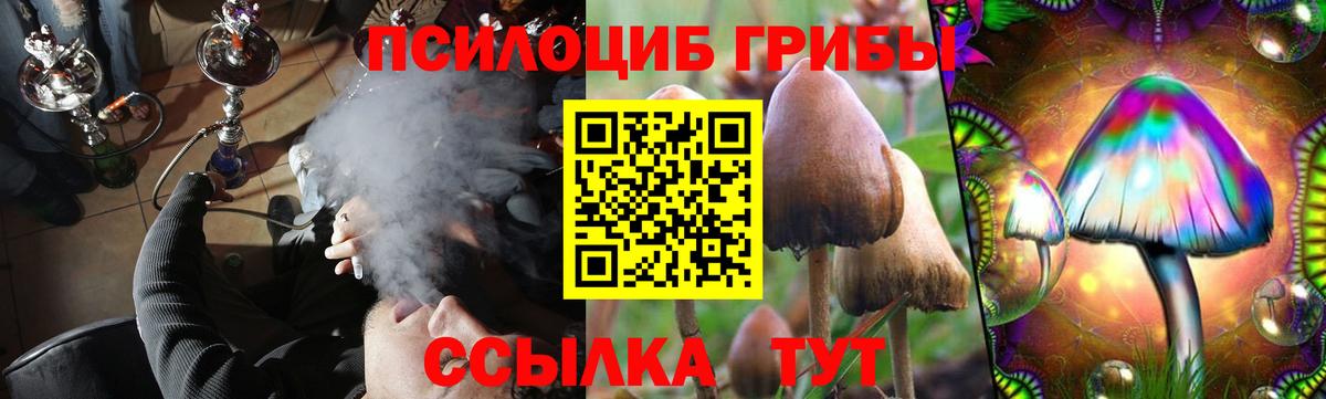 Солнечногорск  Псилоцибиновые грибы Psilocybine cubensis  Вход с VPN 